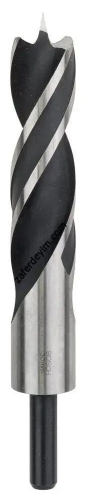 Bosch EXPERT Self Cut Speed Yaprak Delme Ucu 19 x 152 mm