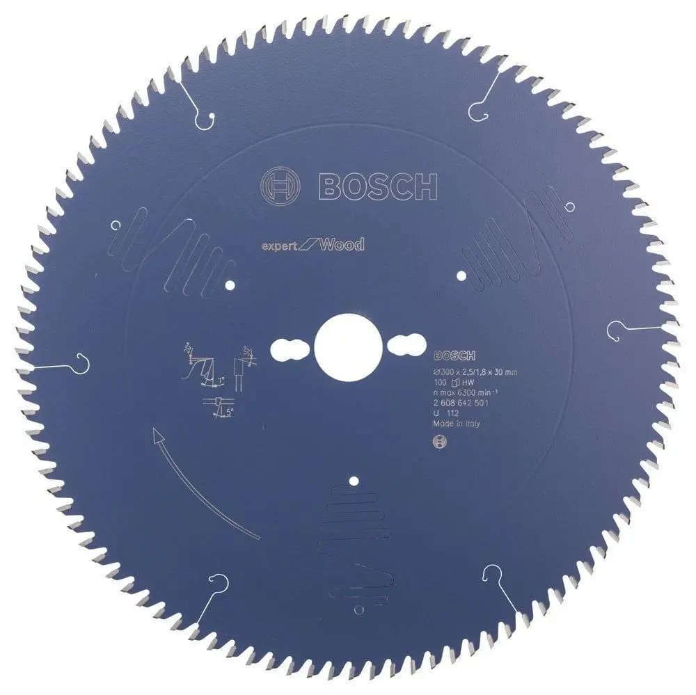 Bosch Expert for Wood 300*30 mm 100 Diş