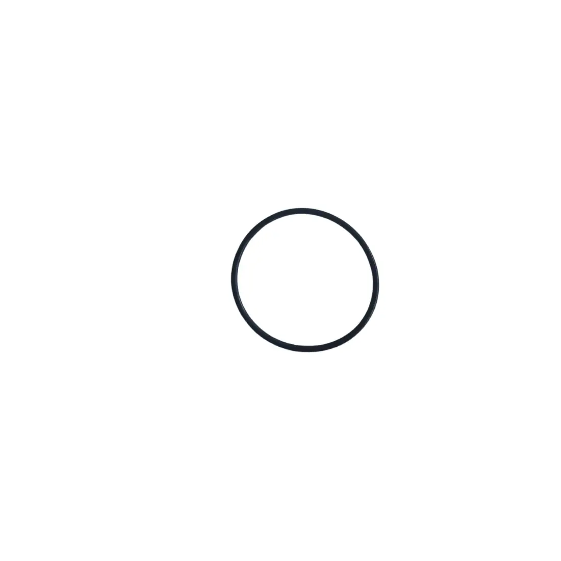 PWS 700-115 O Ring 21,0x1,0mm