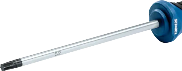 Bosch Profesyonel Torx Tornavida TX30x125