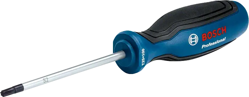 Bosch Profesyonel Torx Tornavida TX25x100