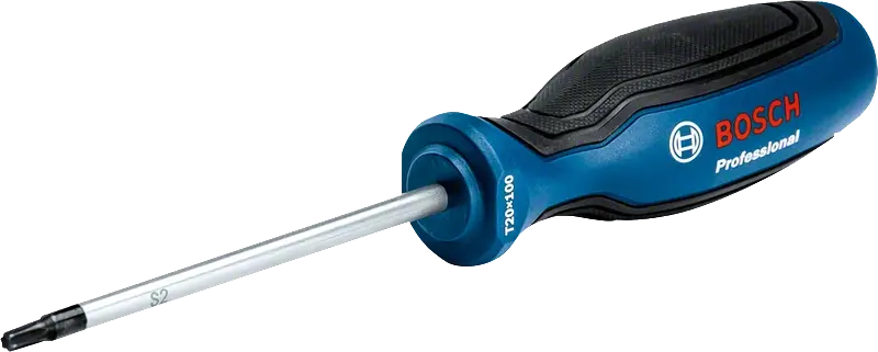 Bosch Profesyonel Torx Tornavida TX20x100